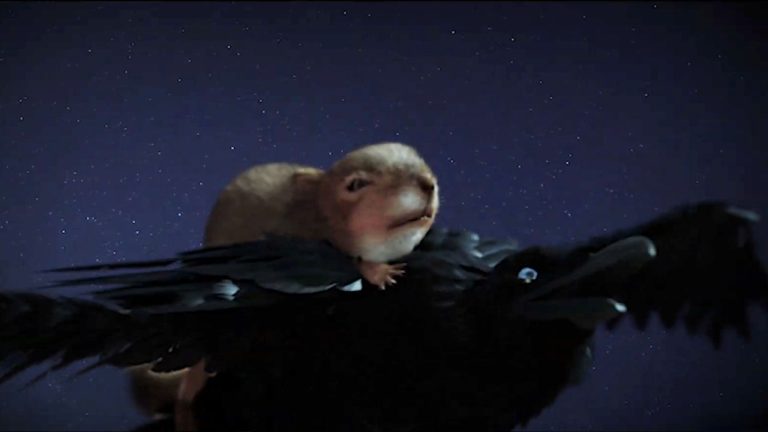 sommerles 2023 flight